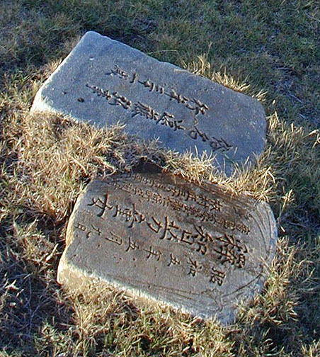closeup of previous image
